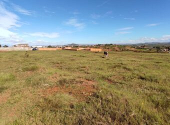 A vendre un terrain plat de 1 hectare situé à Ambohinanjakana, dans le quartier d’Ambohidratimo