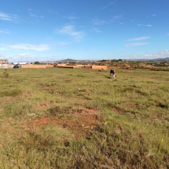 A vendre un terrain plat de 1 hectare situé à Ambohinanjakana, dans le quartier d’Ambohidratimo