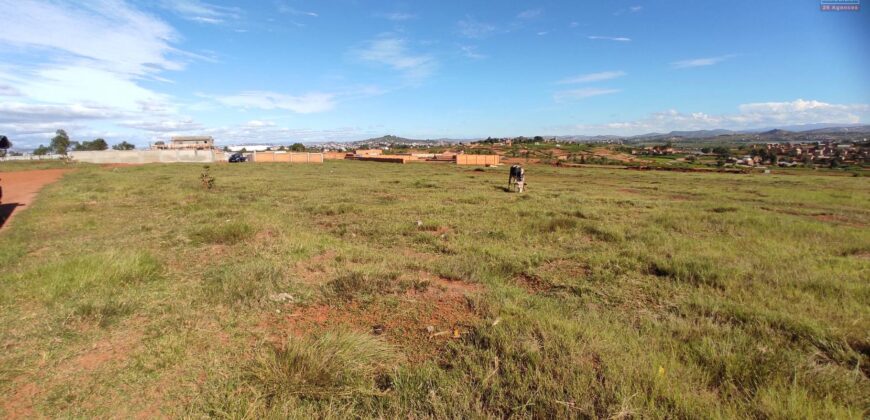 A vendre un terrain plat de 1 hectare situé à Ambohinanjakana, dans le quartier d’Ambohidratimo