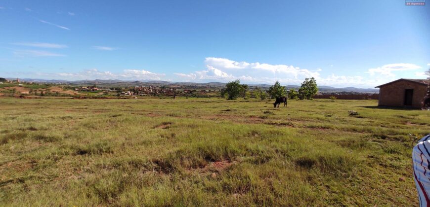 A vendre un terrain plat de 1 hectare situé à Ambohinanjakana, dans le quartier d’Ambohidratimo