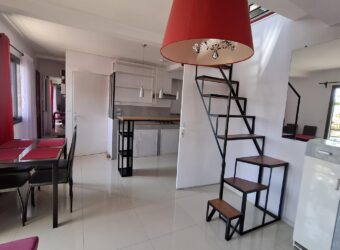 A louer un charmant appartement T4 en triplex situé à Ivandry