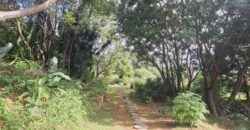 A louer une villa F3 meublée et équipée située dans un cadre exceptionnel à Soamanandrariny