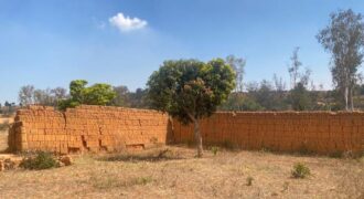 A vendre un terrain plat de 500 m2 prêt à bâtir situé à Manazary Ilafy