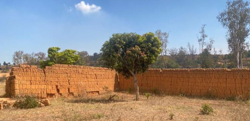 A vendre un terrain plat de 500 m2 prêt à bâtir situé à Manazary Ilafy