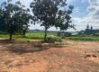 A vendre un magnifique terrain de 1000 m2 situé à Ambohibao Antehiroka
