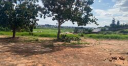 A vendre un magnifique terrain de 1000 m2 situé à Ambohibao Antehiroka