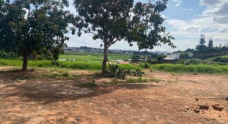 A vendre un magnifique terrain de 1000 m2 situé à Ambohibao Antehiroka