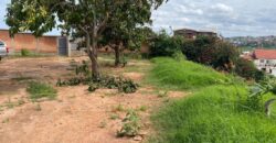 A vendre un magnifique terrain de 1000 m2 situé à Ambohibao Antehiroka