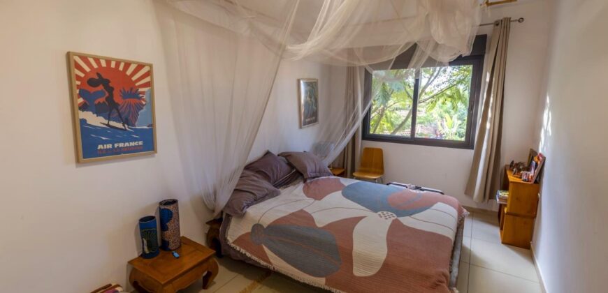 A vendre un magnifique appartement T4 en duplex meublé de 300 m2 situé à Ivandry
