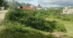 En vente un terrain de 1649 m2 situé à Iavoloha à proximité immédiate de la route nationale RN7