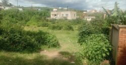 En vente un terrain de 1649 m2 situé à Iavoloha à proximité immédiate de la route nationale RN7
