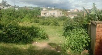 En vente un terrain de 1649 m2 situé à Iavoloha à proximité immédiate de la route nationale RN7