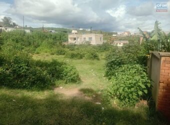 En vente un terrain de 1649 m2 situé à Iavoloha à proximité immédiate de la route nationale RN7