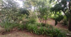 A louer une spacieuse villa F4 située dans un quartier résidentiel calme à Malaza Andoharanofotsy