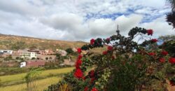 Maison F4 + annexes à vendre sur 2213 m² de terrain proche de la RN2 à Ambohimalaza