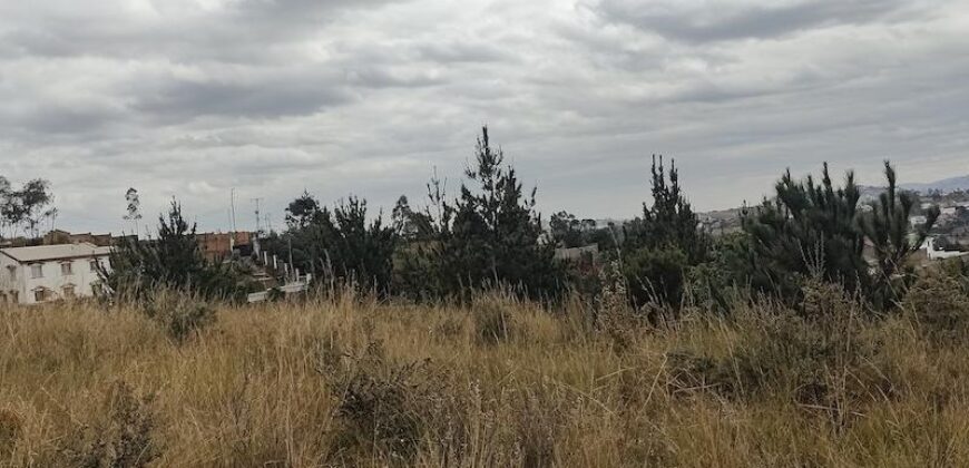 A vendre un beau terrain de 1000 m2 situé dans un quartier résidentiel calme à Miadana Alasora