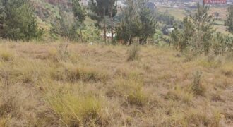 A vendre un beau terrain de 1000 m2 situé dans un quartier résidentiel calme à Miadana Alasora