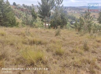 A vendre un beau terrain de 1000 m2 situé dans un quartier résidentiel calme à Miadana Alasora