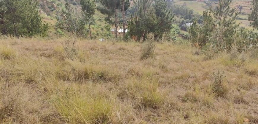 A vendre un beau terrain de 1000 m2 situé dans un quartier résidentiel calme à Miadana Alasora