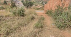A vendre un beau terrain de 1000 m2 situé dans un quartier résidentiel calme à Miadana Alasora