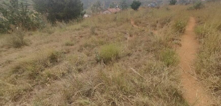 A vendre un beau terrain de 1000 m2 situé dans un quartier résidentiel calme à Miadana Alasora
