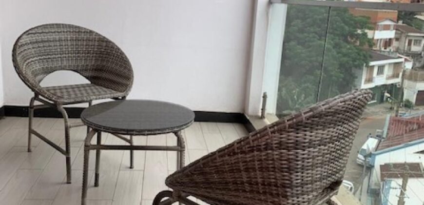 A louer un charmant appartement T4 meublé situé à Antsakaviro dans un quartier calme