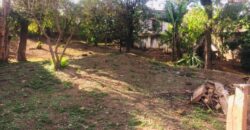 En vente un beau terrain de 1551 m2 viabilisé et entièrement clôturé situé à Talatamaty