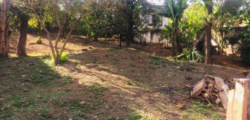 En vente un beau terrain de 1551 m2 viabilisé et entièrement clôturé situé à Talatamaty