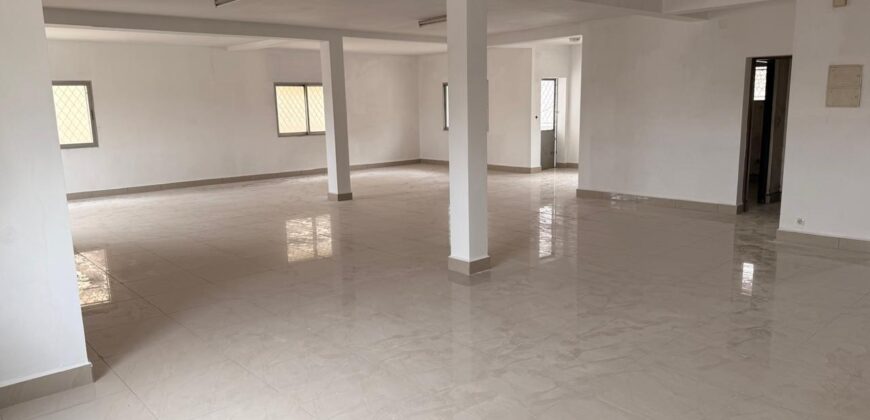 À louer un grand local professionnel ou commercial de 750 m2 situé en bord de route à Analakely