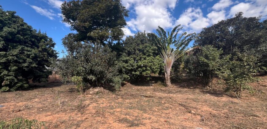 Vente d’une petite villa de 60 m2 sur un terrain de 1485 m2 située dans un secteur calme à Ambatomaro