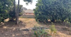Vente d’une petite villa de 60 m2 sur un terrain de 1485 m2 située dans un secteur calme à Ambatomaro