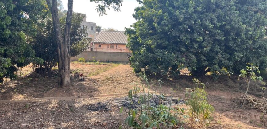 Vente d’une petite villa de 60 m2 sur un terrain de 1485 m2 située dans un secteur calme à Ambatomaro