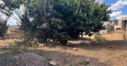 Vente d’une petite villa de 60 m2 sur un terrain de 1485 m2 située dans un secteur calme à Ambatomaro