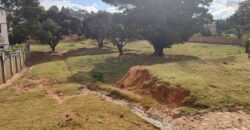 Vente d’un beau terrain constructible de 6700 m2 situé à Antanetibe Ivato