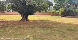 Vente d’un beau terrain constructible de 6700 m2 situé à Antanetibe Ivato