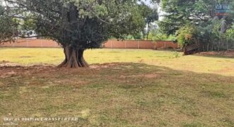 Vente d’un beau terrain constructible de 6700 m2 situé à Antanetibe Ivato