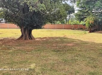 Vente d’un beau terrain constructible de 6700 m2 situé à Antanetibe Ivato
