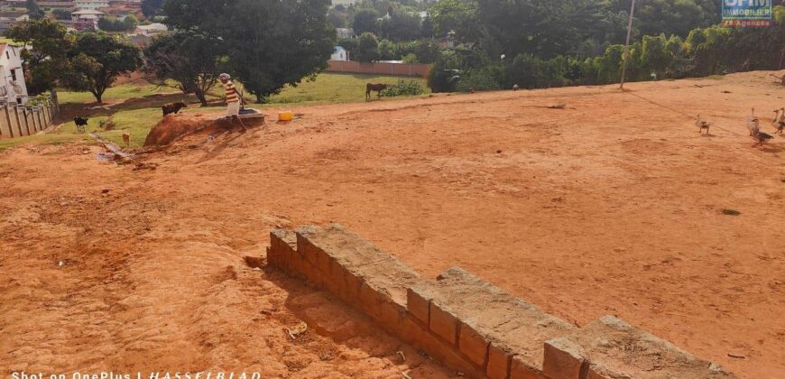 Vente d’un beau terrain constructible de 6700 m2 situé à Antanetibe Ivato