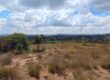 À vendre un beau terrain de 1500 m2 prêt à bâtir situé à Manazary Ilafy