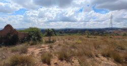 À vendre un beau terrain de 1500 m2 prêt à bâtir situé à Manazary Ilafy