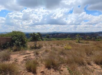 À vendre un beau terrain de 1500 m2 prêt à bâtir situé à Manazary Ilafy