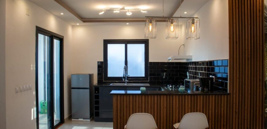 À louer un magnifique appartement T4 meublé situé à Amboditsiry