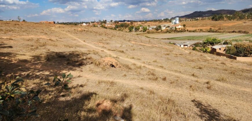 À vendre un vaste terrain viabilisé de 14825 m2 situé à Manakambahiny Anosiala