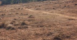 À vendre un vaste terrain viabilisé de 14825 m2 situé à Manakambahiny Anosiala