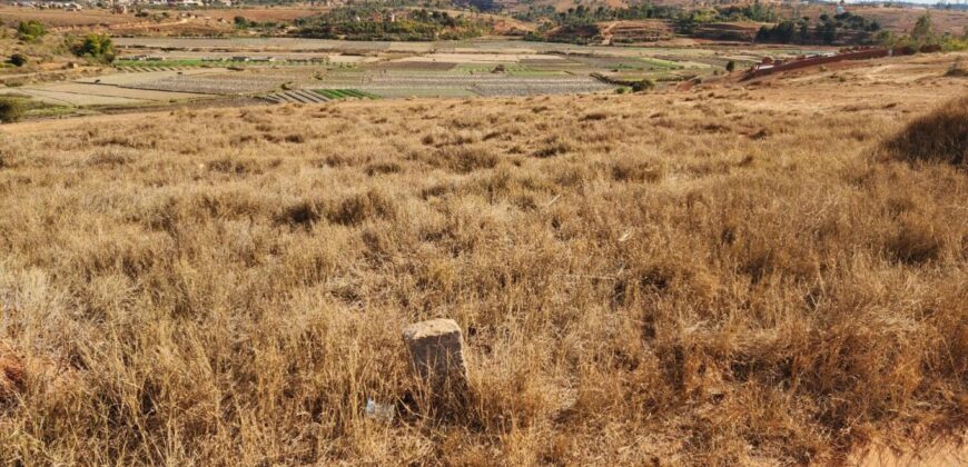 À vendre un vaste terrain viabilisé de 14825 m2 situé à Manakambahiny Anosiala