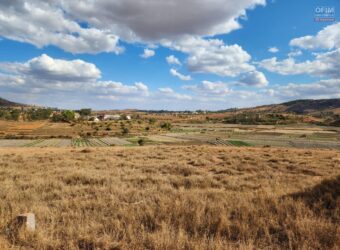 À vendre un vaste terrain viabilisé de 14825 m2 situé à Manakambahiny Anosiala