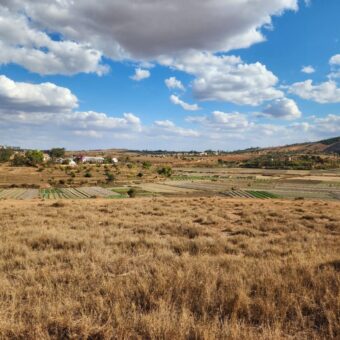 À vendre un vaste terrain viabilisé de 14825 m2 situé à Manakambahiny Anosiala À vendre un vaste terrain viabilisé de 14825 m2 situé à Manakambahiny Anosiala