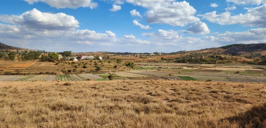 À vendre un vaste terrain viabilisé de 14825 m2 situé à Manakambahiny Anosiala
