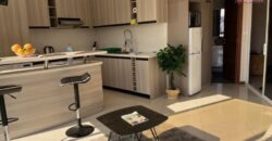 À louer un bel appartement T2 meublé situé à Faravohitra