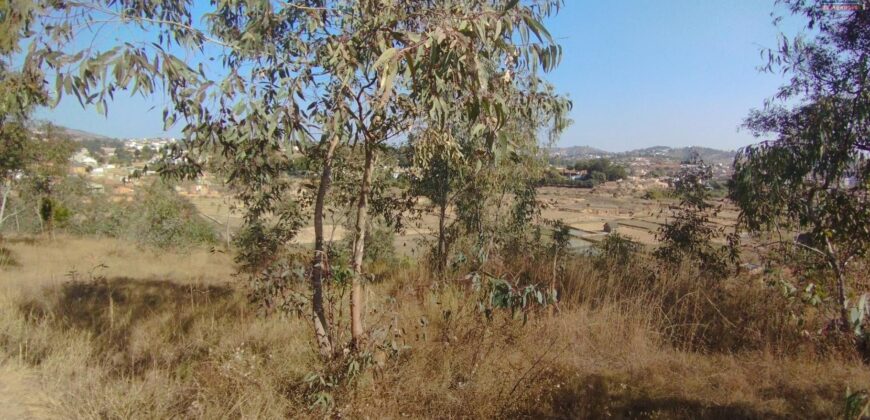À vendre un beau terrain de 8450 m2 avec vue dégagée situé à Beravina Ilafy